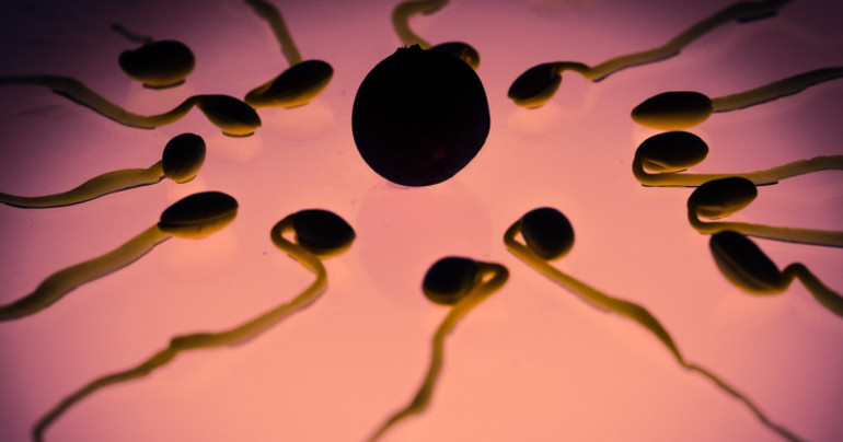 非激素类男用避孕药,男性避孕药对身体有副作用吗