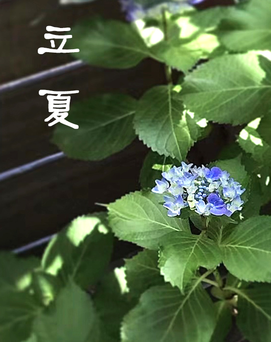 二十四节气立夏ppt课件免费,二十四节气立夏视频