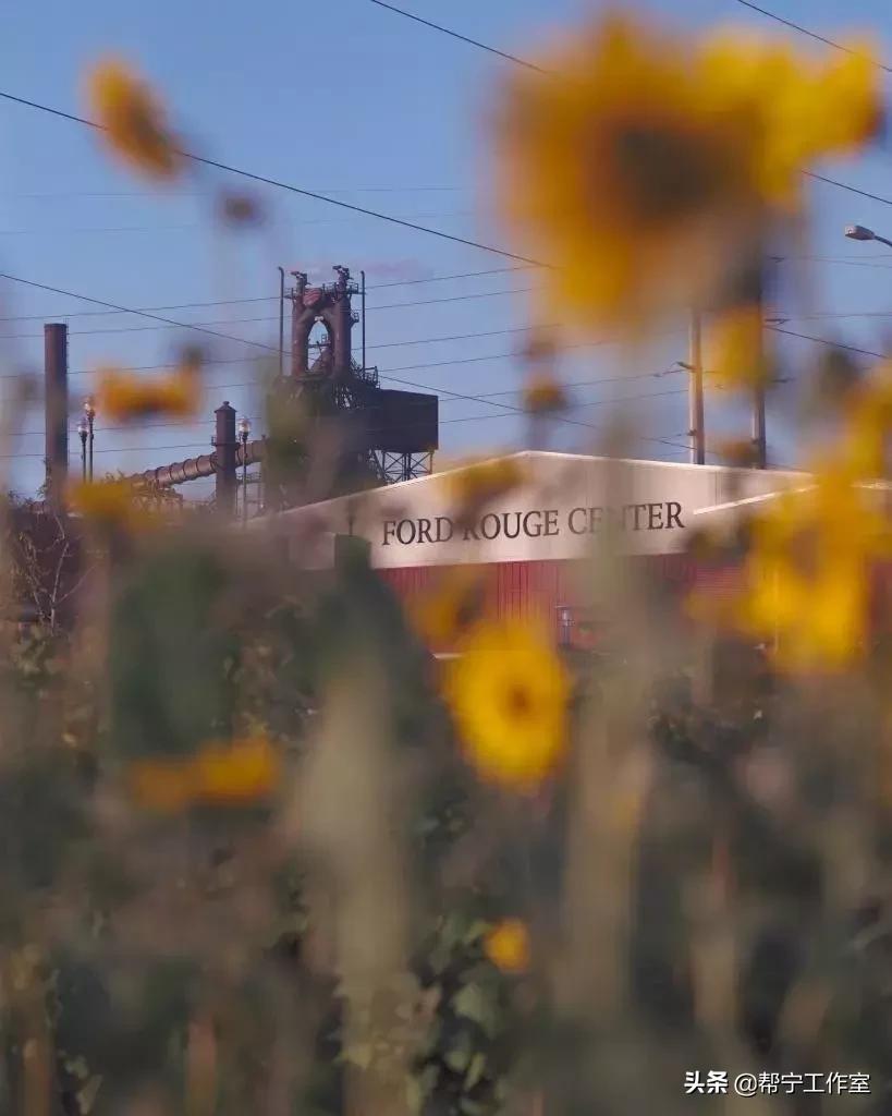 GBN特写|改造福特中国