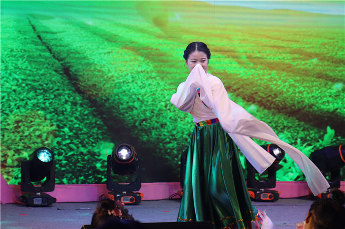 迎新年庆元旦舞蹈活动方案,庆元旦迎新年喜庆舞