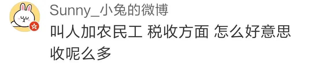 程序员新生代农民工,程序员被定义为新时代的农民工
