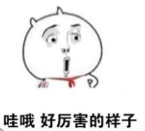 广东最好的高职32所,广东深职学院最低排名