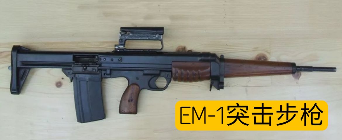 英国枪械发展史,英国枪械大全视频