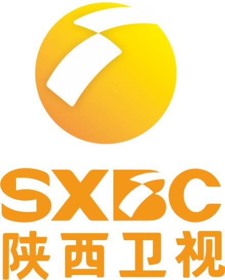 电视剧的含义,简述中国电视剧繁荣期的发展方向