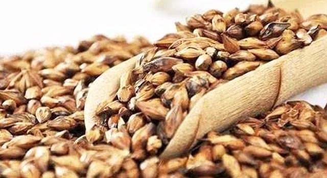 坐月子吃什么才下奶最快,坐月子吃啥下奶最快最好