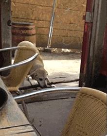 不联系的同学借钱怎么高情商回复,怎么回复借钱的同学