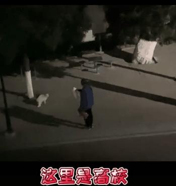 一到毕业季，我们大学的校猫就疯了哈哈哈