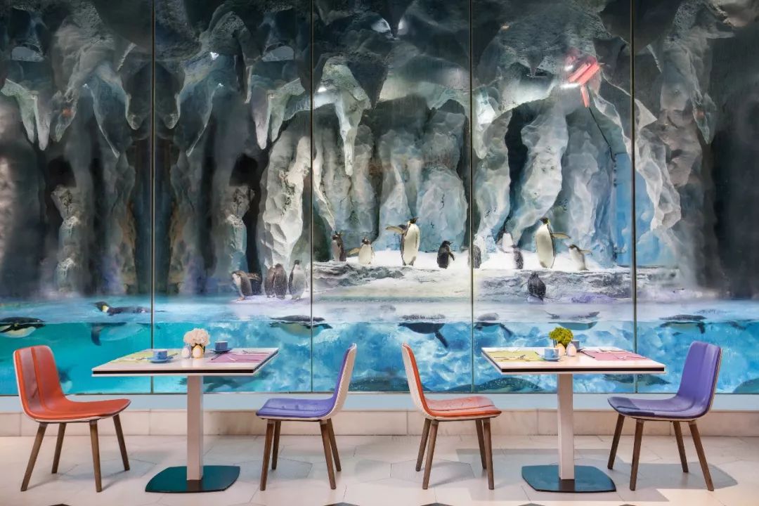 珠海最顶级的自助餐,珠海市区十大自助餐排行榜