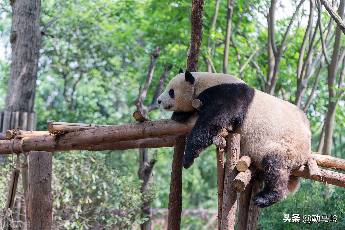 如来神掌飞机,轨道轰炸机发射高超音速导弹