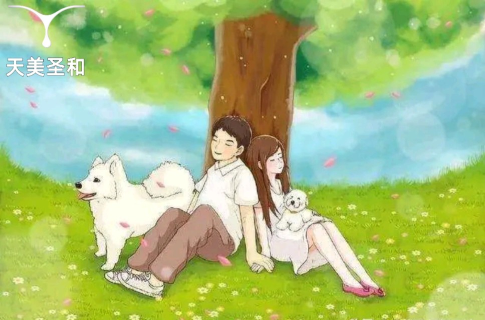 天美圣和教你说话艺术：怎么让丈夫愉快地放好臭袜子