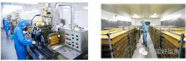 鸿洋神水产科技,威海荣成鸿洋神水产有限公司