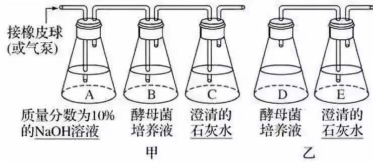 云南高中会考生物实验操作,生物显微镜实验视频高中