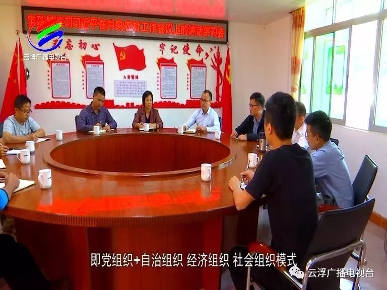 多彩云浮丨美“荔”宝珠，东进融湾