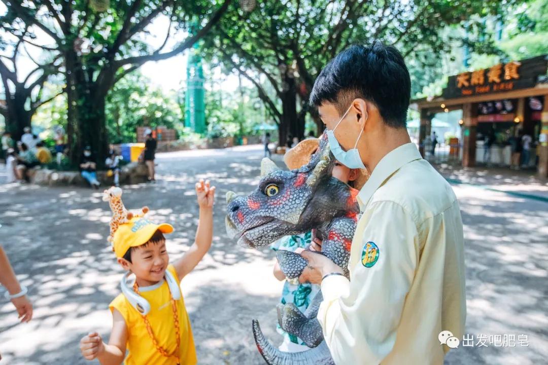 长隆飞鸟乐园长隆熊猫酒店怎么选,周一长隆野生动物园游玩攻略
