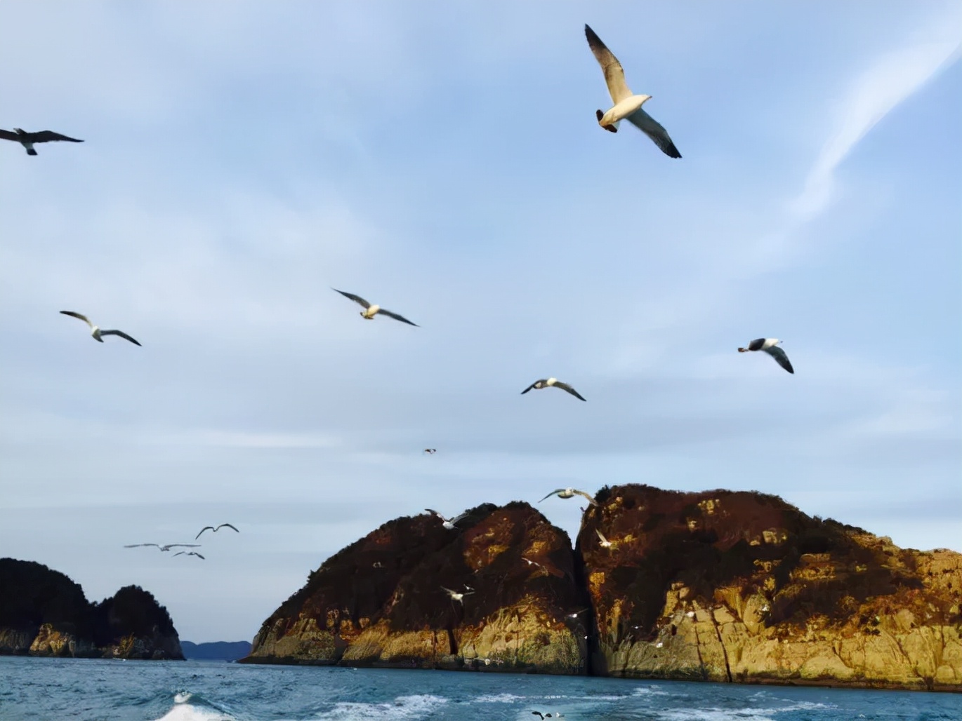 新手鱼竿怎么选择调性好的,鱼竿选择哪个调性最好最实用