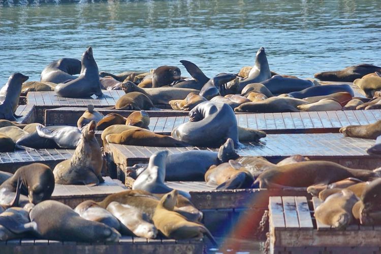 美国德州西部自由行,美国西海岸可以自由航行么