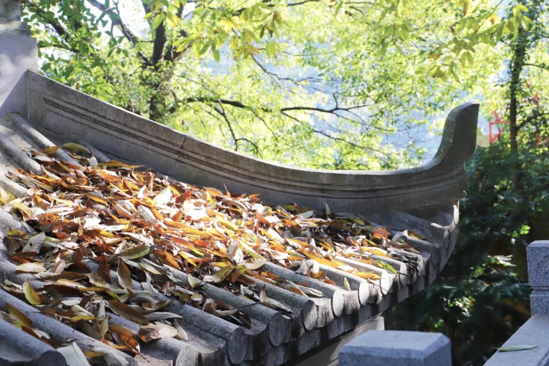 苏州西山农家乐民宿游,苏州西山农家乐旅游网官网