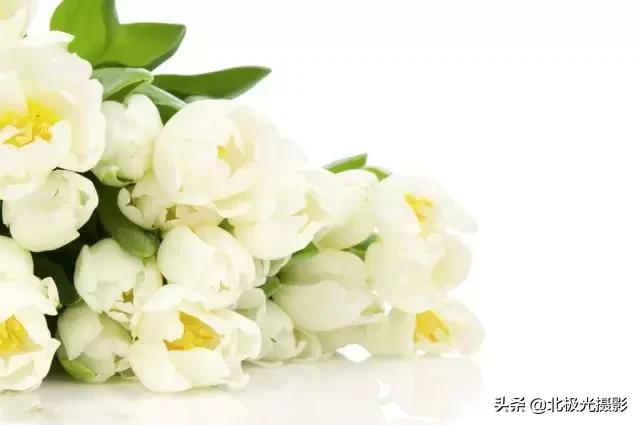 拍夜景鸟的正确方法,拍摄鸟类摄影欣赏