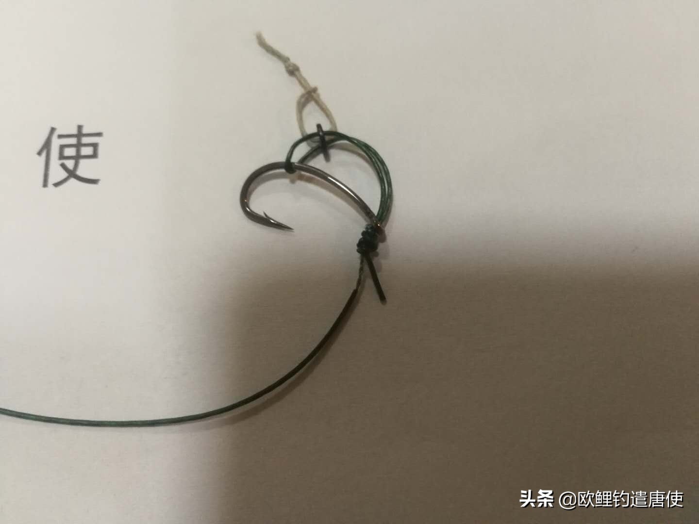 为什么鲤鱼比鲫鱼难钓,为什么鲫鱼这么难咬钩