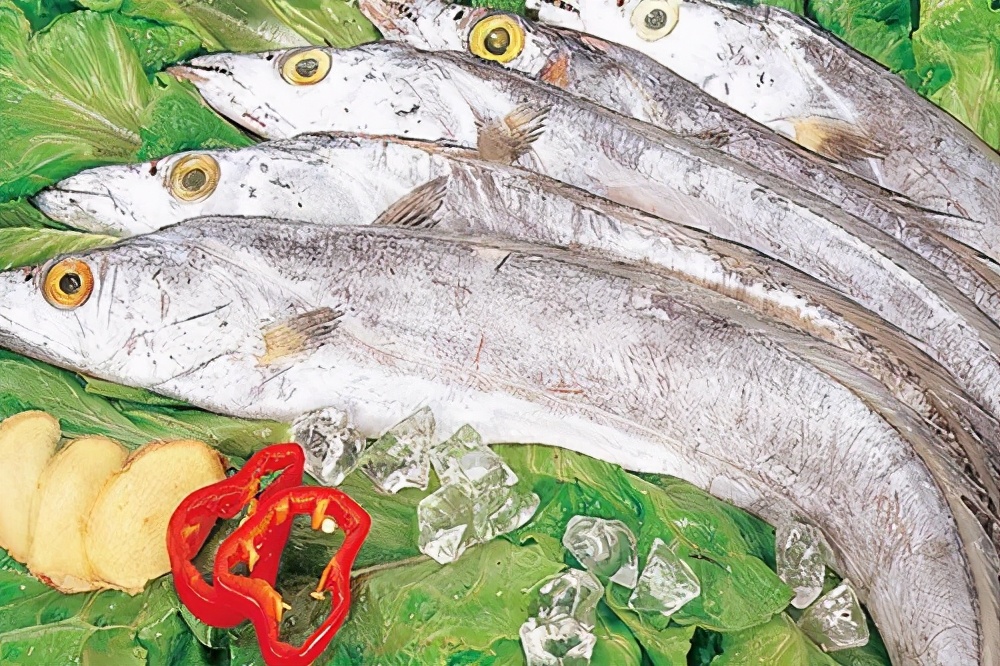 带鱼冰鲜好吃还是冰冻的好吃,冰鲜带鱼和带鱼段的区别