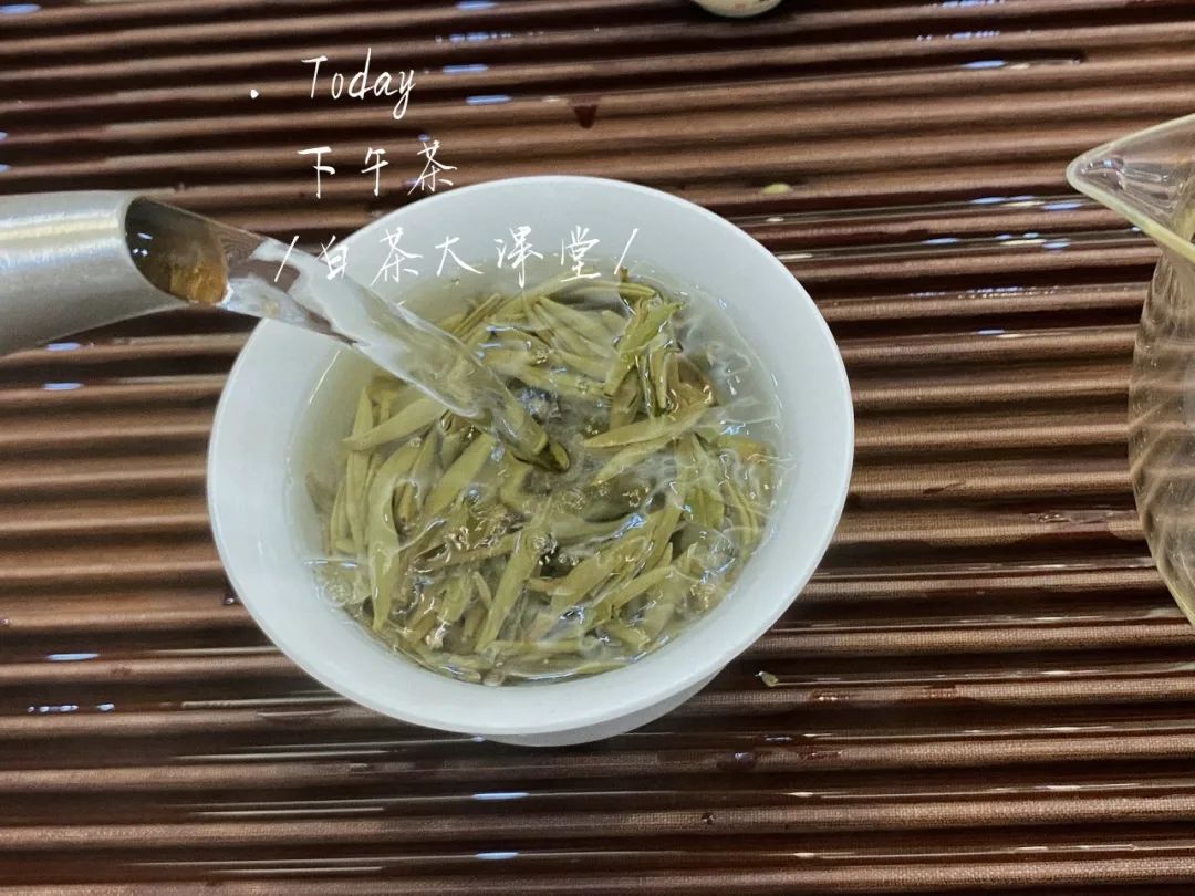 白茶白毫银针好还是纯芽头好,冷泡白茶选白毫银针还是白牡丹