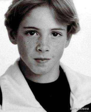 费尔南多托雷斯现状,费尔南多托雷斯生涯历程