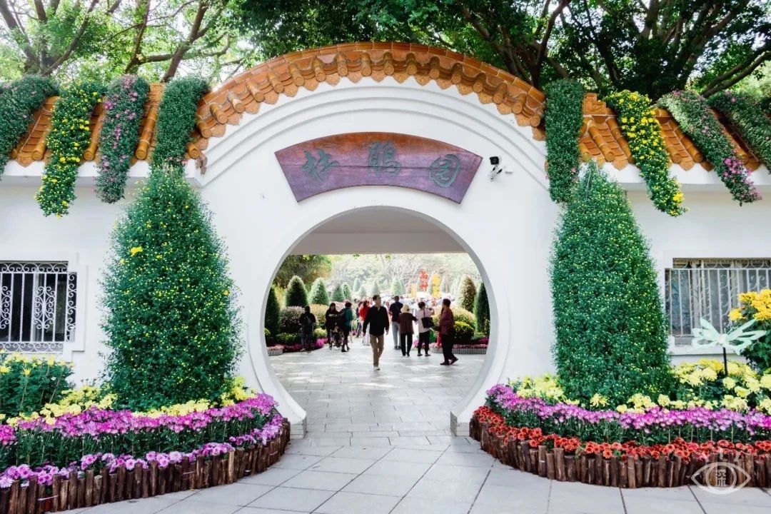 深圳吃喝玩乐两日游推荐,深圳周边游吃喝一日游推荐