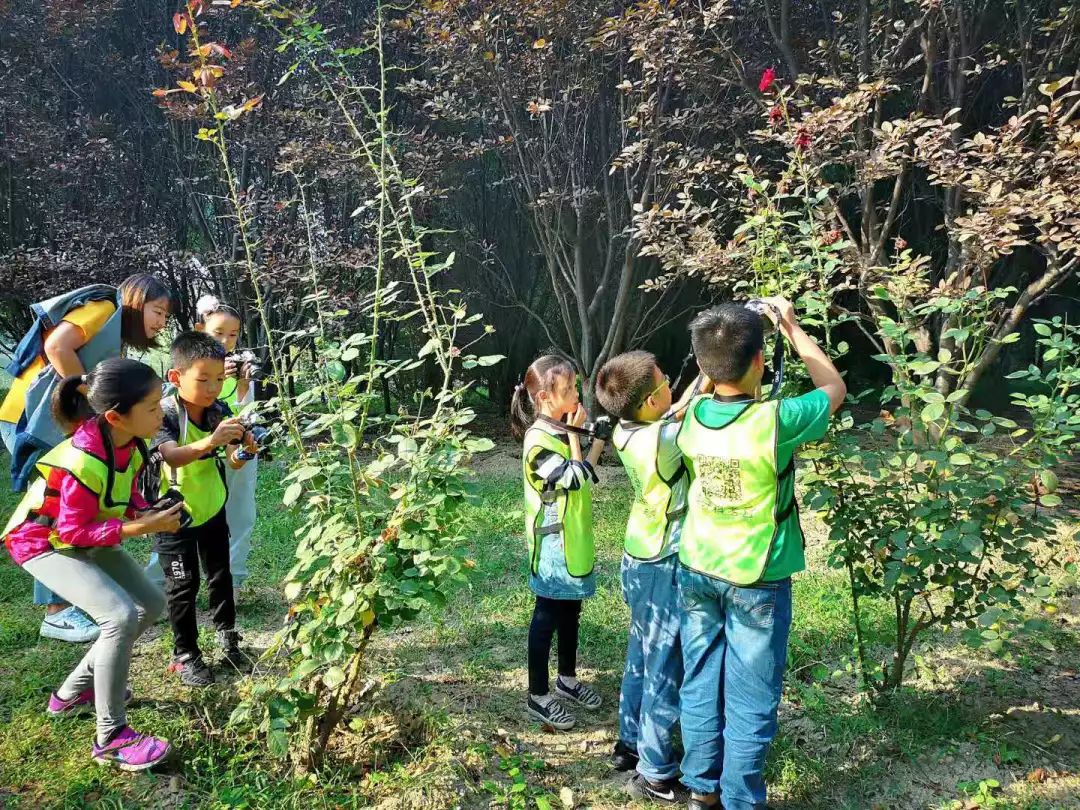 一群博士硕士，动不动“鬼混”到半夜，却干成了件人人称赞的事