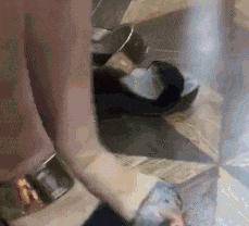 成精了，这家伙居然学会练瑜伽了