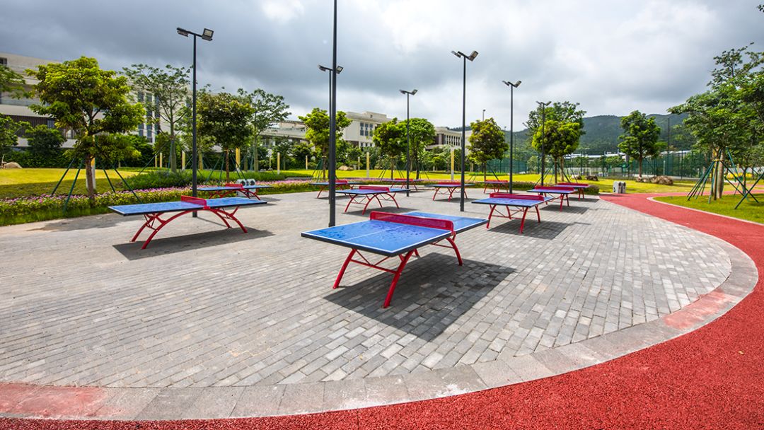 珠海新公园海滨公园,全市首个珠海这个新公园惊艳亮相