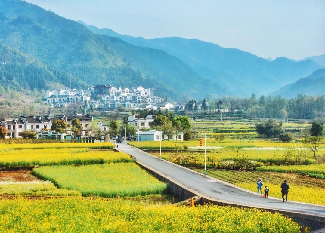 一生必背50首宋诗,一生必背60首宋诗大全