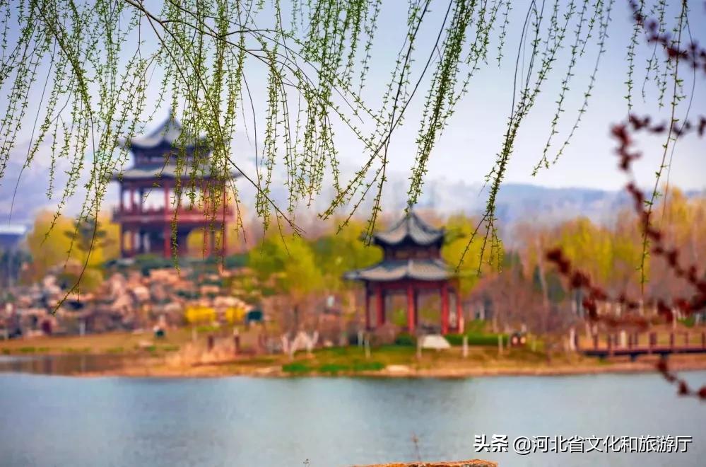 爱家乡游河北发现身边的美|披着初夏的清风，踏着热闹的浪，在五月的秦皇岛玩出新花样~