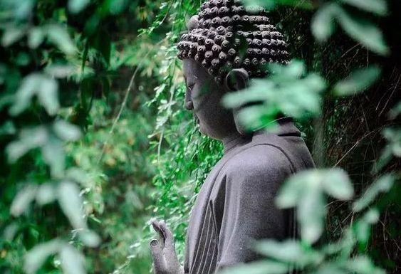 一个人只有明白这四点才能不吃亏,一个人做到极致的词语