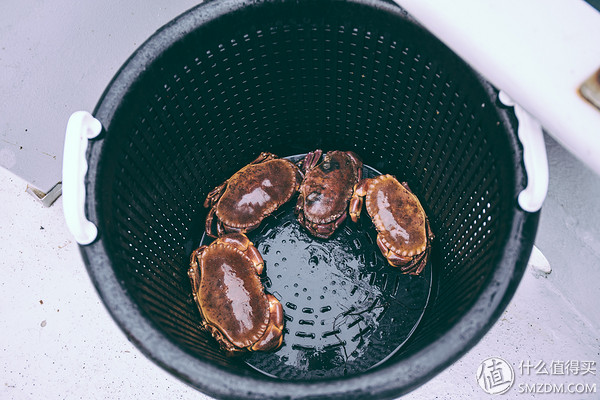 哥德堡交响曲（下）自驾领克01去看看瑞典西海岸最美的地方