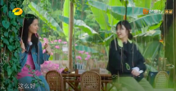 周奇张新成,张新成景甜周奇