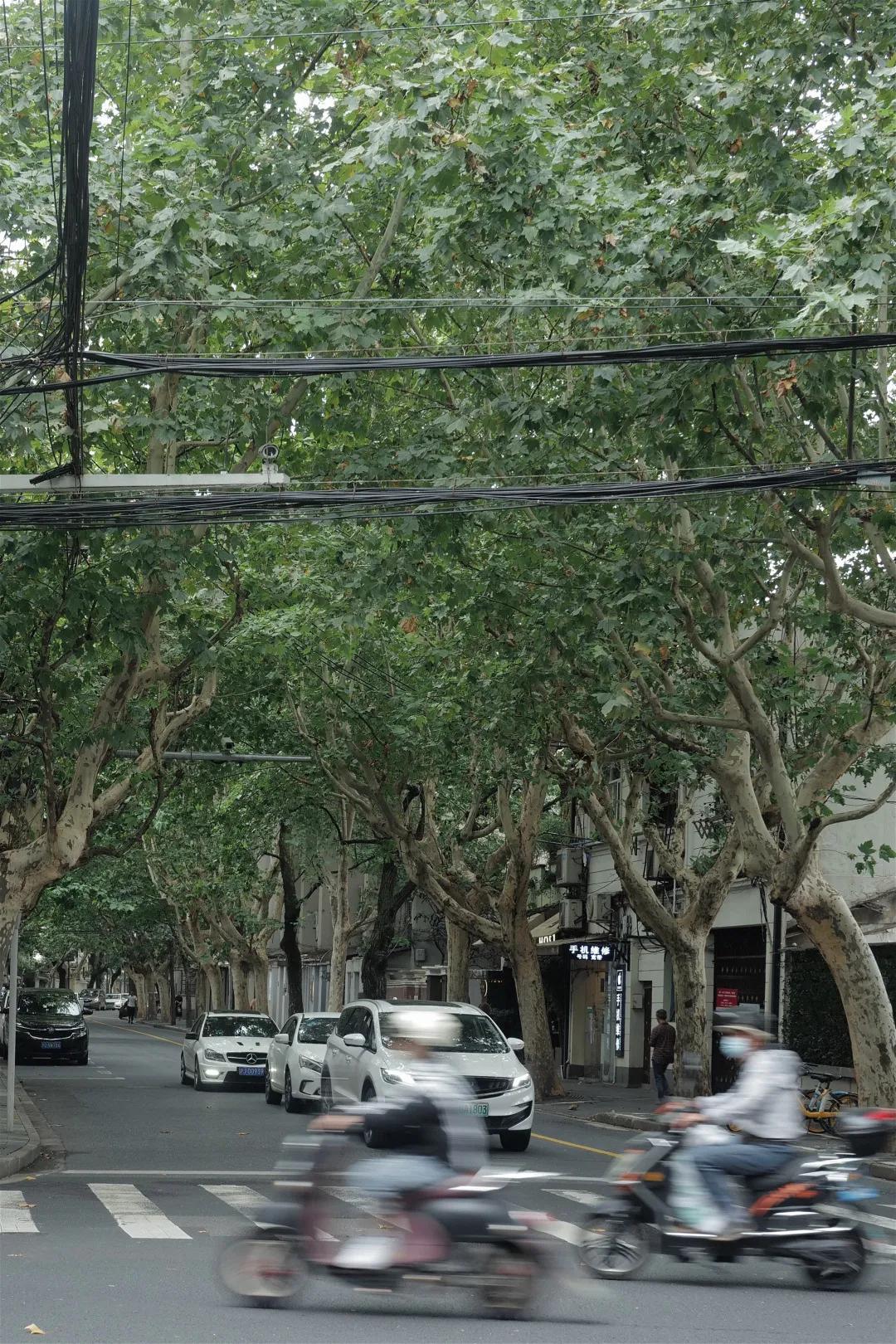 别争了，这条马路才是魔都内卷之王