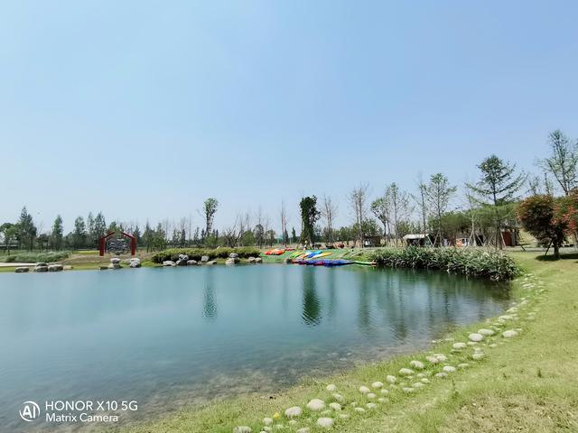 光荣x10是双5g手机吗,光荣x10最值得入手的5g手机