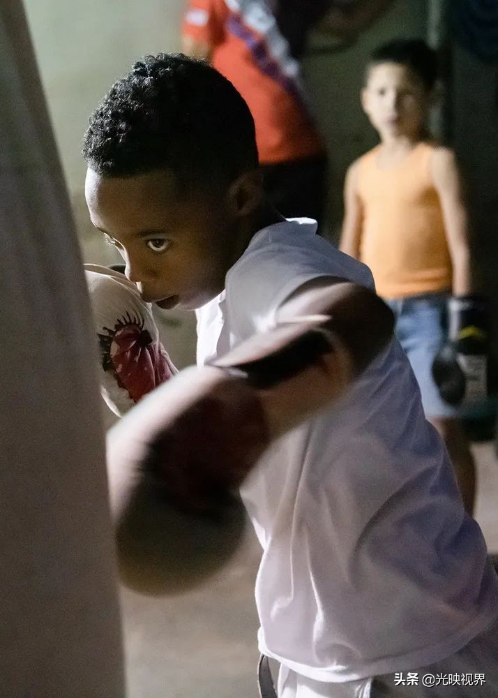 2022年度的ipa摄影大赛获奖作品,2020ippa摄影大赛奖项公布