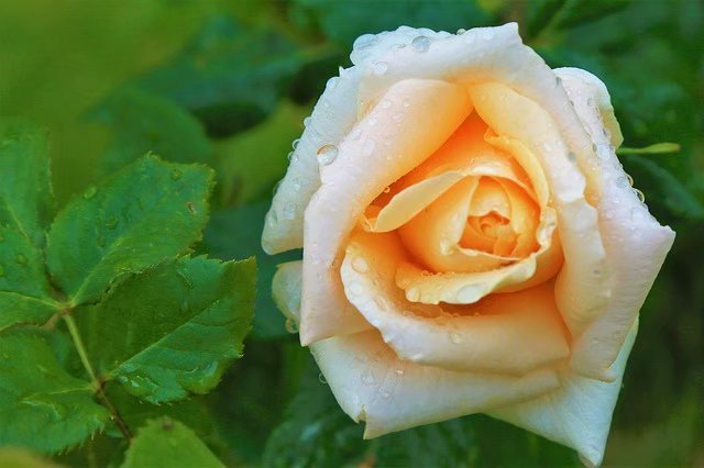 一念天堂一念地狱放下执念,一念天堂一念地狱从此无念