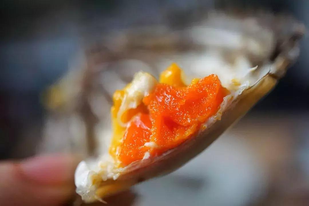 大闸蟹要公蟹的还是母蟹的好吃,现在吃大闸蟹是公的好还是母的好