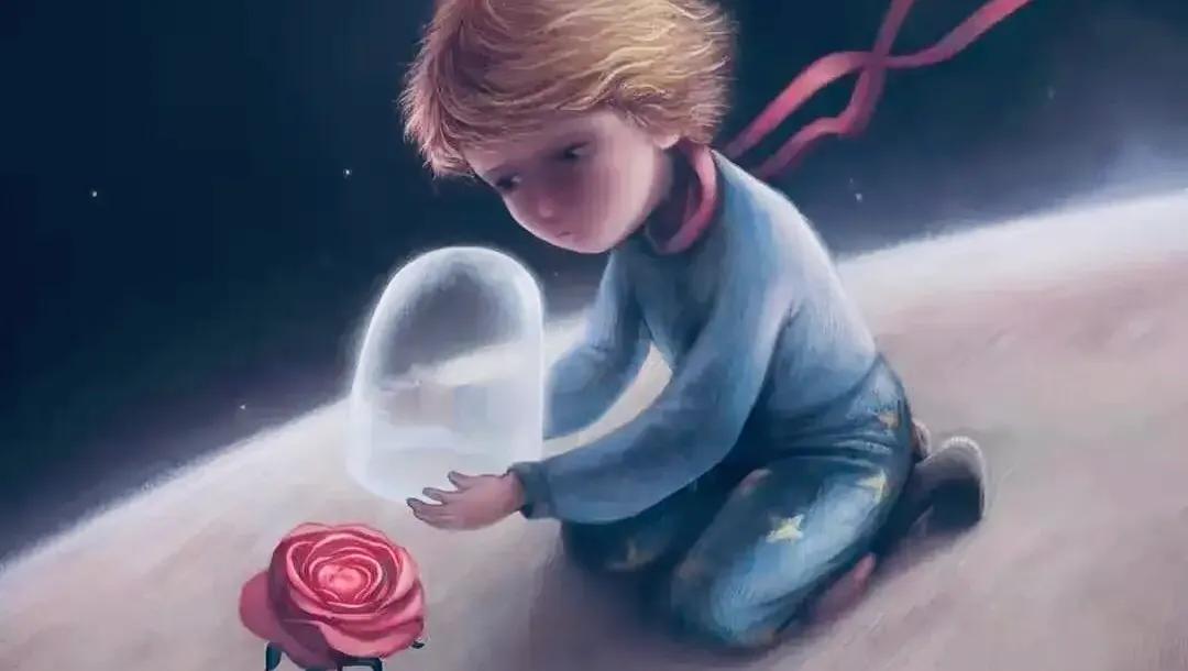 听，夜莺一直在歌唱（十四）