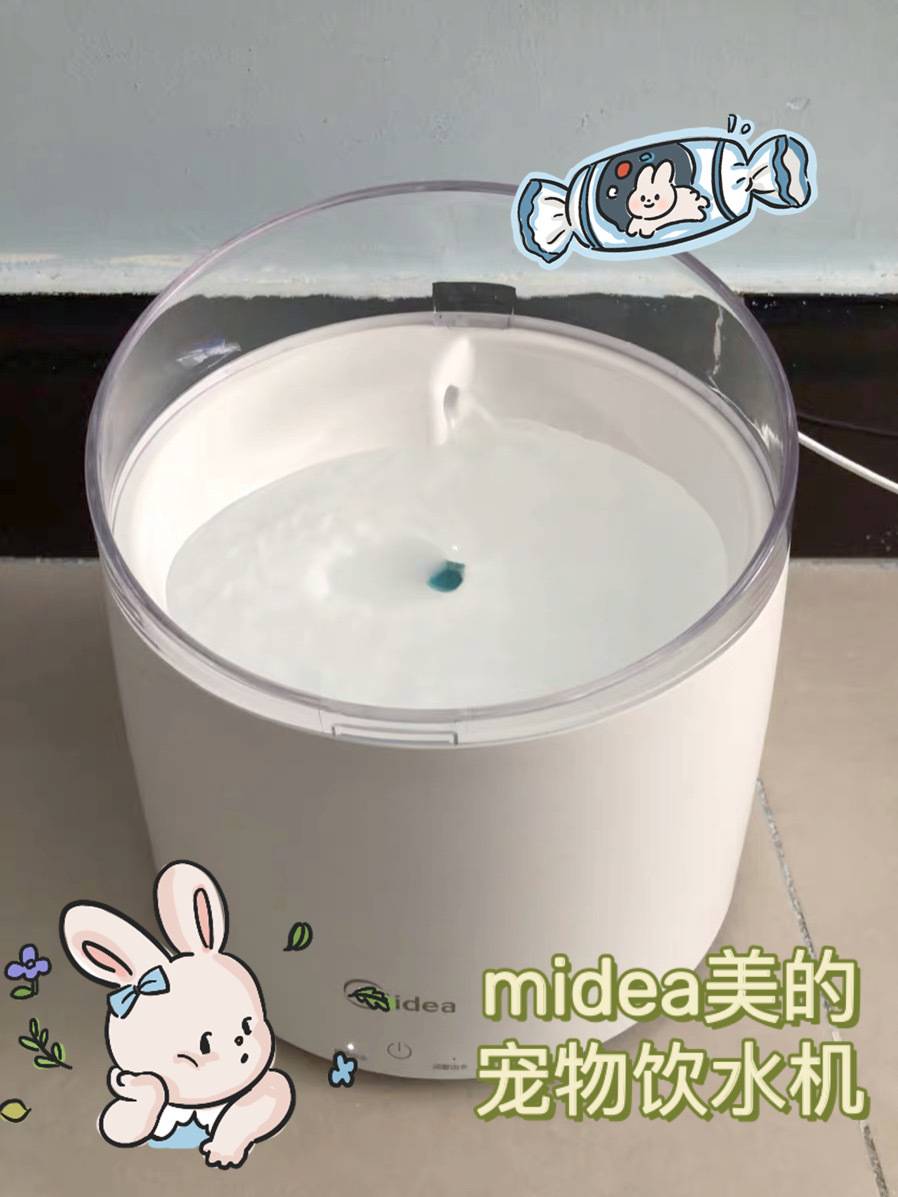 猫咪用品必买清单猫咪饮水机,猫咪饮水机实用推荐