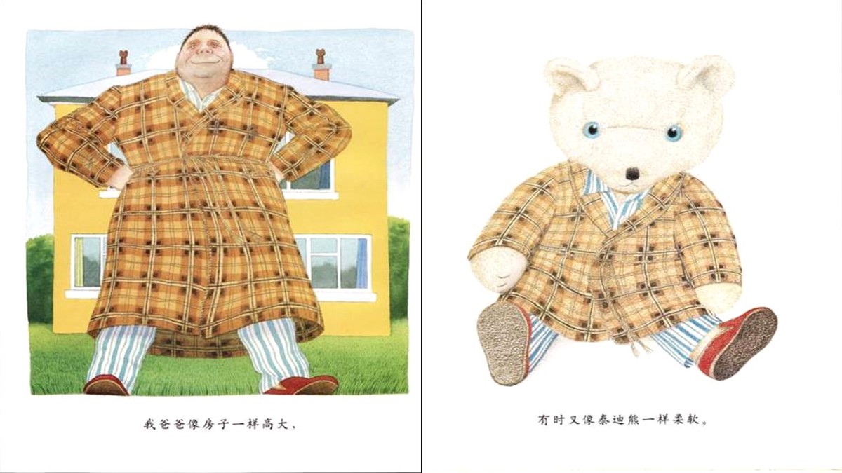 绘本我爸爸阅读视频,绘本我爸爸的阅读评价