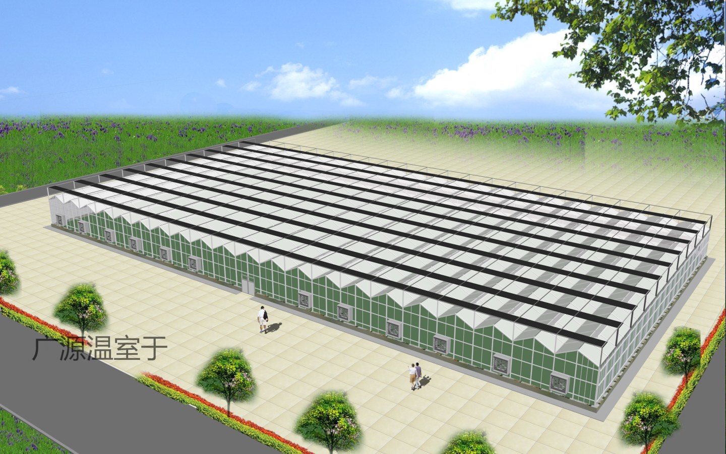 各种蔬菜大棚的种植时间和方法,蔬菜大棚种植技术主要注意哪些