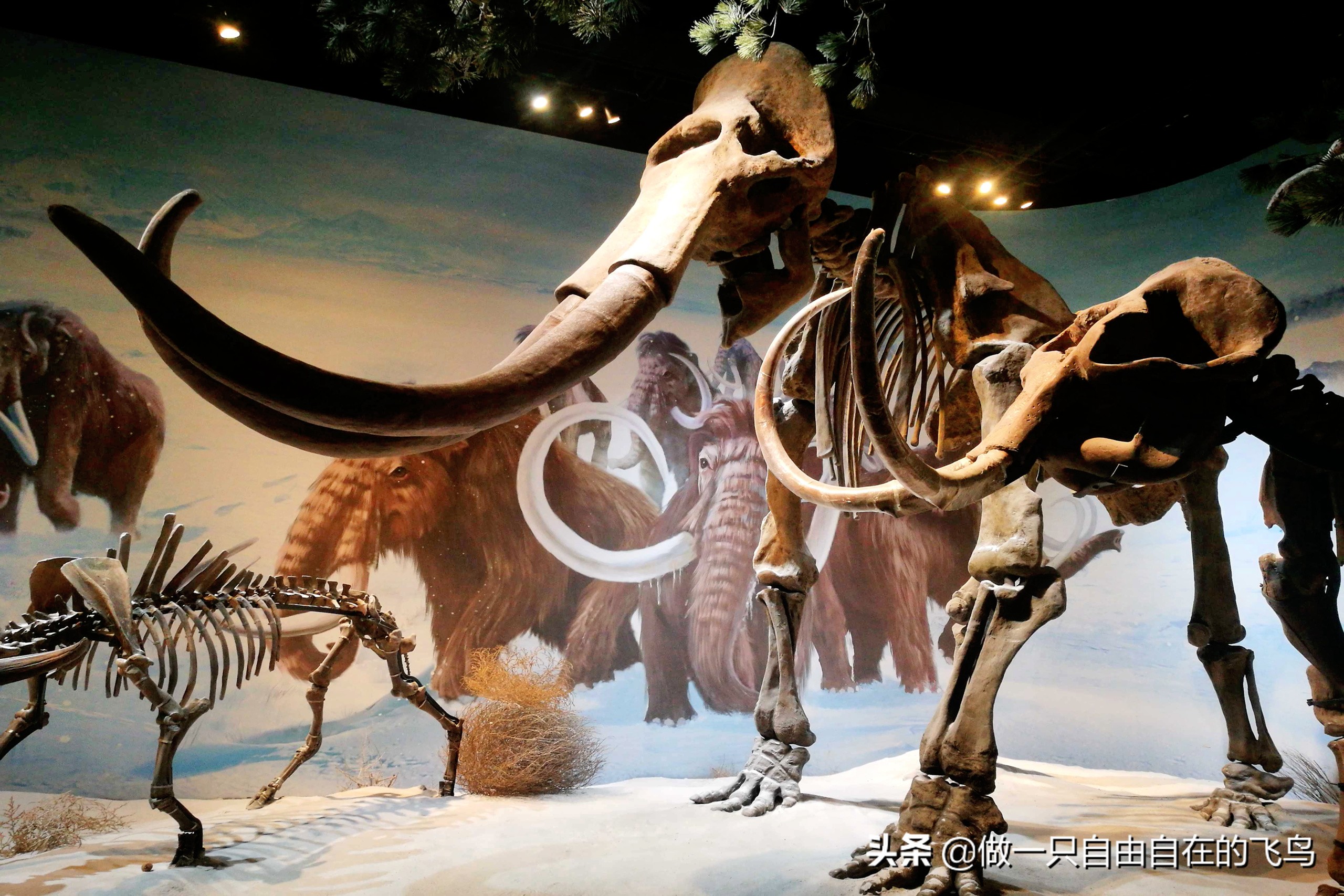 满洲里中俄蒙边境的多彩小城,融入中俄蒙三国异域风情