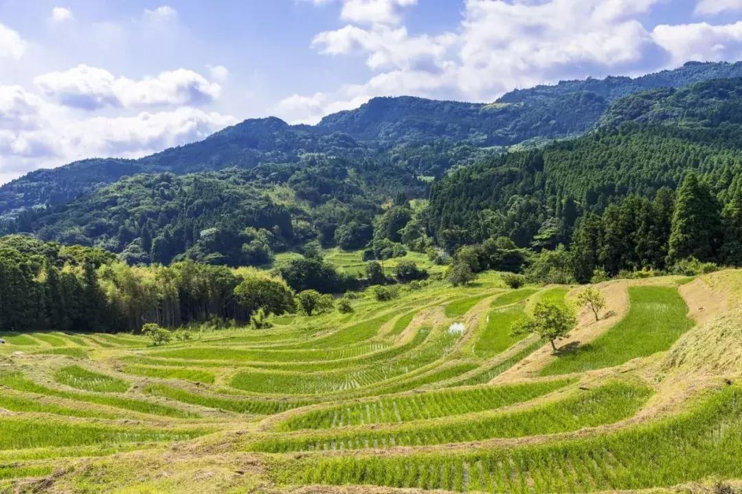 盘点那些年我看过的日本美景,日本美景8k超高清