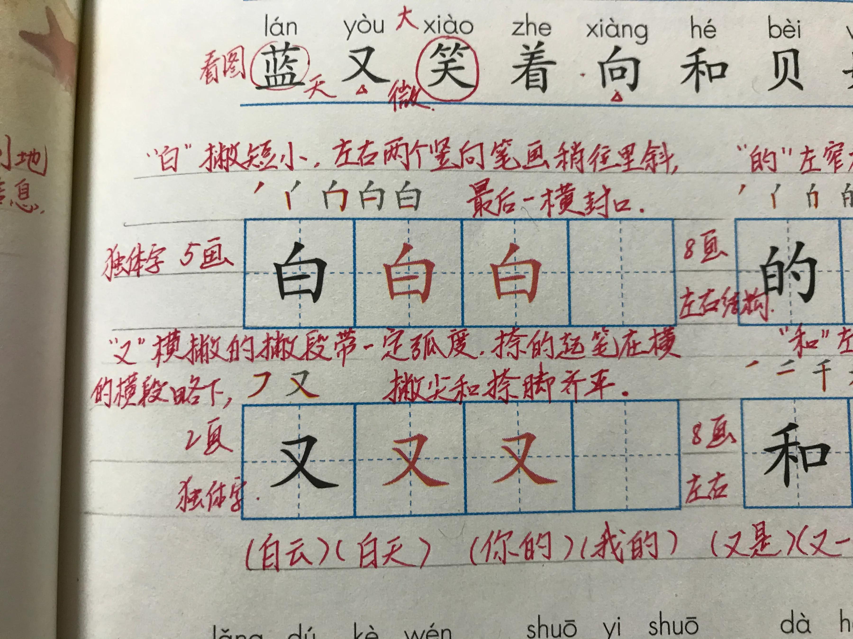 一年语文《项链》，看资深教师手写笔记，帮助学生们学语文