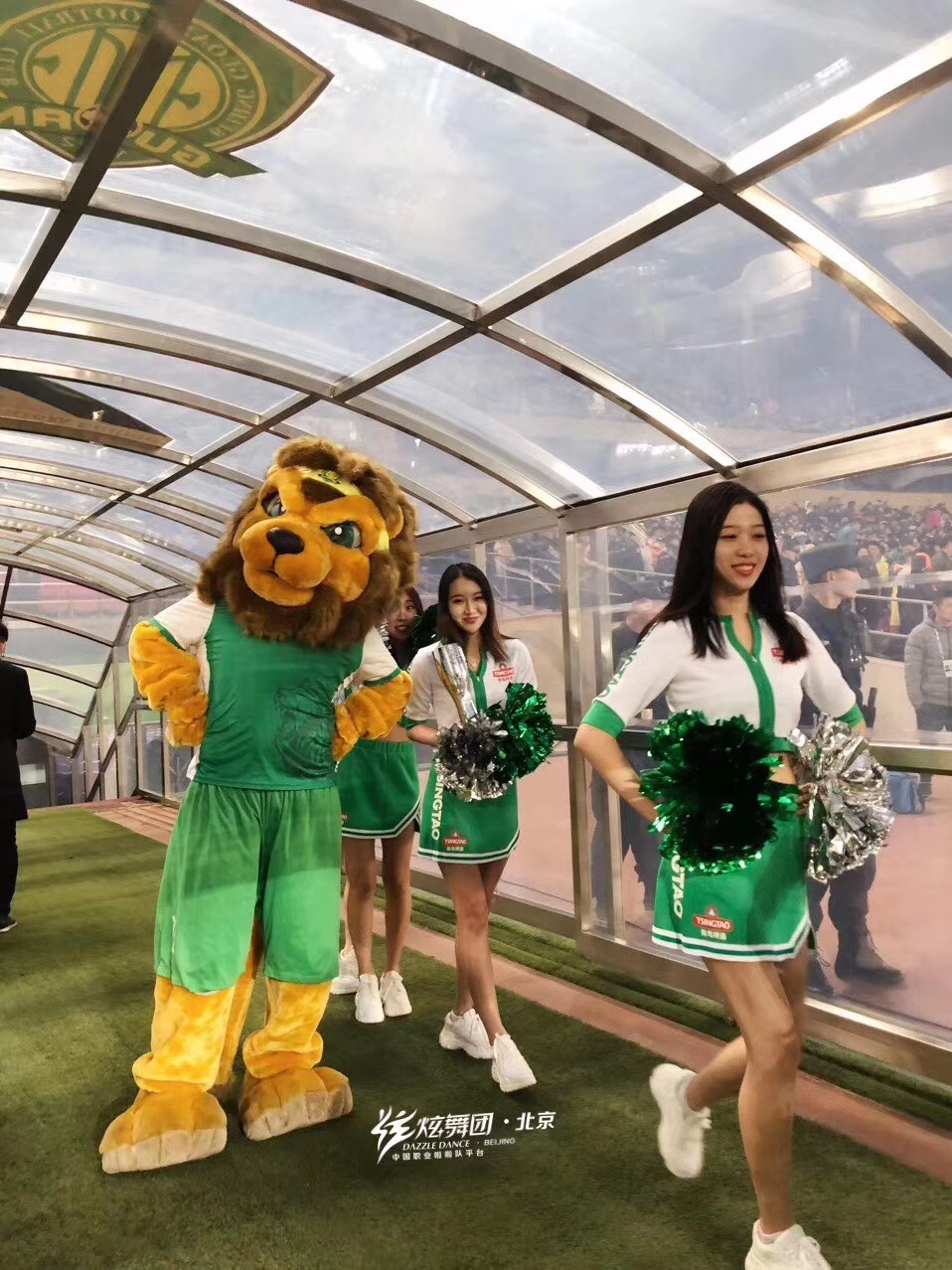 绿裙绿衣绿茵球场，宝贝啦啦队舞动亚欧小组赛，女神们个个美上天