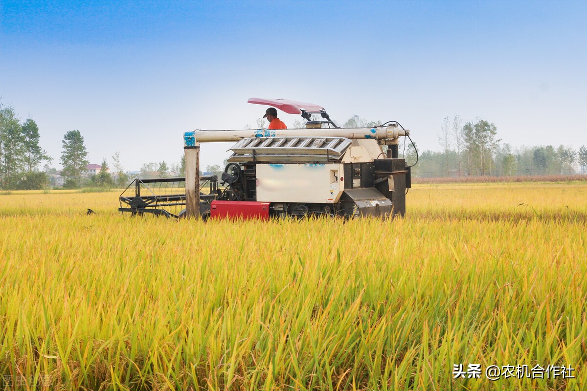 绿先锋,先进农机合作社