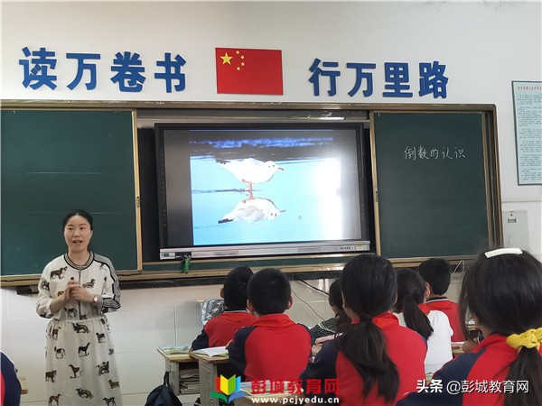 西湖区小学数学课堂教学评比活动,小学数学高效课堂教学比武活动